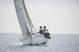 zebedee 6731Y whyw13 sun 0057